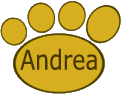 Dreli-Bears - the artist - Andrea