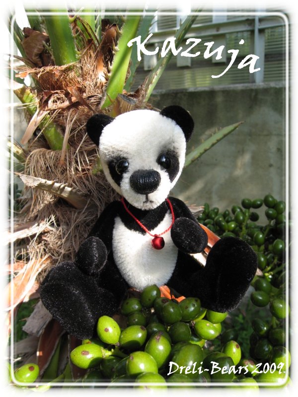 Kazuja - Dreli-Bears 2009