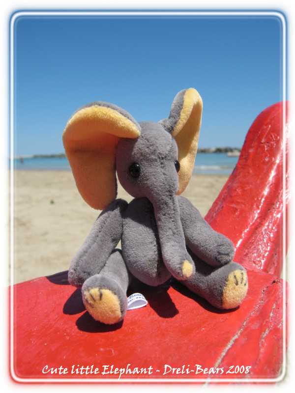 Pinto - Elefant - Dreli-Bears 2008